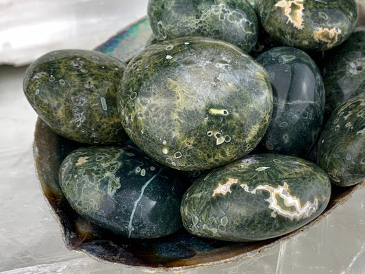 Ocean Jasper Palm Stone - Tumbled, Polished Crystal